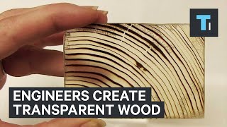 Engineers create transparent wood [upl. by Notneb]