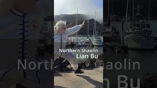 Northern Shaolin Kung Fu Lian Bu [upl. by Hardden56]