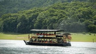 Periyar Tiger reserve national park Thekkady  Peaceful tourist attraction  India travel [upl. by Chrisoula]