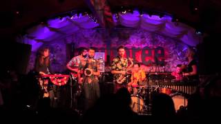 REPTILIAN MAMBO 4  Live at Jamboree Barcelona [upl. by Ettenotna652]