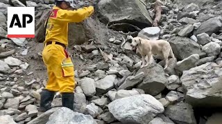 Rescue dog finds dead body on Taiwans Shakadang Trail after earthquake [upl. by Romney]