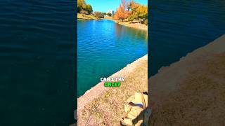 Random Kid Shows Up Then THIS Happens 🎣 What would you do fishing shorts [upl. by Eitra53]