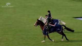 Championnat de France du cheval de chasse 2024 [upl. by Lashond249]