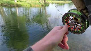 87 Catching Monster Double figure trout at Testwood [upl. by Clardy]