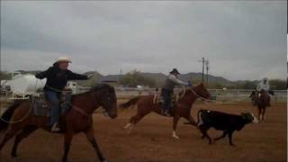 Team Roping in Maricopa Arizona  Maricopa AZ Horse Properties [upl. by Bohaty]