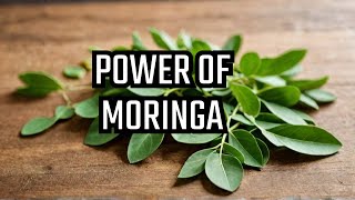 20 Benefits of Moringa plant you should know [upl. by Hsotnas159]