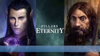 Pillars of Eternity  Companion Dialogue [upl. by Laenej]