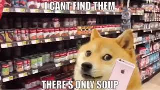 Doge goes to the soup store meme [upl. by Leena]