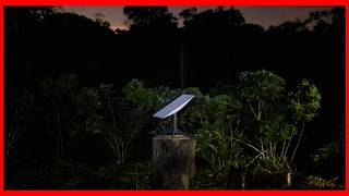 Starlink Internet Comes to The Amazon Rainforest [upl. by Obie]