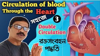 Blood Circulation through the Heart। হৃদপিণ্ডের রক্ত সংবহন। রক্ত সংবহন পদ্ধতি। Circulation class 11। [upl. by Fafa]