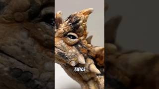 Thorny Devil Natures Spiky Survivor shorts short [upl. by Isoj]