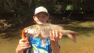 Mangrove Jack mangrovejack nsw fishing hopefullywegetthatjack yessss [upl. by Nirda236]