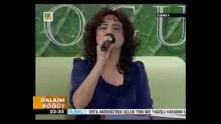 Dilek KARADAĞ  Evlerinin Önü Bulgur Sokusu [upl. by Enneira852]