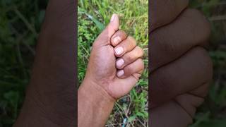 Finger magic video youtubeshorts funny [upl. by Pasho]