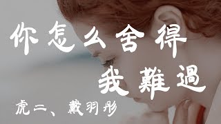 你怎麼捨得我難過  虎二戴羽彤  『超高无损音質』【動態歌詞Lyrics】 [upl. by Lumbard174]