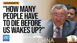 quotHow Many More People Have to Die Before the US Wakes Upquot — Chinese Envoy  Dawn News English [upl. by Nuhsal]