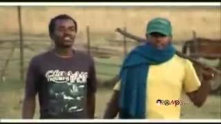 Hawi Tezera  Abichu New Oromo Music 2013 [upl. by Louis]