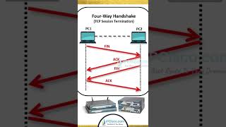 THE 3 WAY HANDSHAKE✨✨✨  Network Lessons  IPCiscocom ccna [upl. by Eenwat]