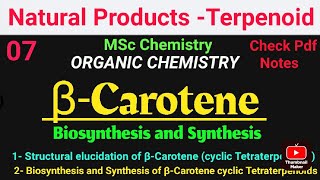 βCarotene  Biosynthesis and Synthesis STRUCTURE ELUCIDATIONS mscchemistrynotes carotenoids [upl. by Ehsom]