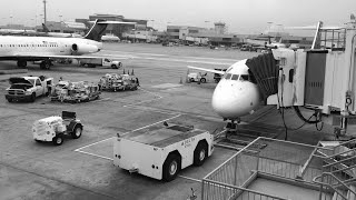 Delta ground crew at ATL [upl. by Peppi]