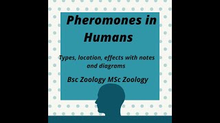 Pheromones in Humans with Handwritten notes in English [upl. by Corney]