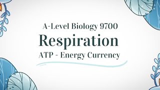 Ch12 Respiration ATPEnergy Currency  A2 Biology 9700 StudyWithZedy [upl. by Toth272]