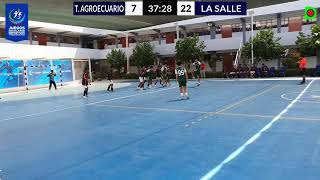 T AGROPECUARIO vs LA SALLE varones Cat C  etapa regional handballArequipa HSCA mododificil [upl. by Christina970]