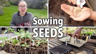 Sowing Seeds Absolutely Everything You Need to Know [upl. by Pelag417]