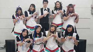 MaiWish Maid and Butler Cafe at MadFest Melbourne [upl. by Eirene]