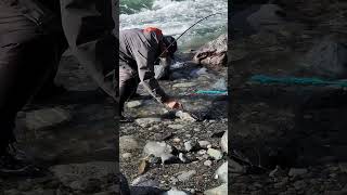 The salmon wont bite so we have to return it to the river I ❤️ salmon fishing Vedder river 🇨🇦 2 [upl. by Nnaasil]