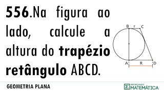 C14 TRIÂNGULOS RETÂNGULOS 556 [upl. by Aeila75]