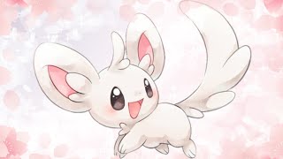 Minccino AMV  Havana [upl. by Tormoria]