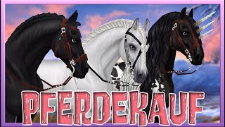 Wir KAUFEN den NEUEN FRIESEN 🖤🤍🖤 neue Farbe 🐴 Star Stable Pferdekauf SSO [upl. by Rapp]