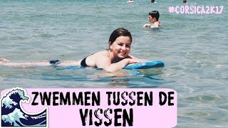 Zwemmen tussen de vissen  CORSICA 2K17  LiveLikeFloor [upl. by Breban]