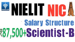 NIELIT NIC Scientist B Salary  Duties  Promotion [upl. by Marvel]