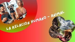 RELACION HUMANOANIMAL A LA HORA DE COMER medicinadelcomportamiento jerarquizacionalimentaria [upl. by Nnylyaj612]