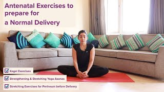 Pregnancy Exercises Third Trimester for Normal Delivery  Kegels Stretching exercises using EPINO [upl. by Lyrac]