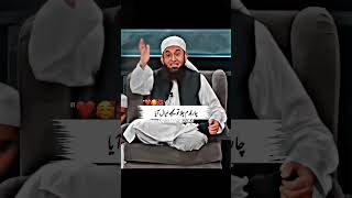 Molana Tariq Jameel Sabb Latest video tariqjameel molanatariqjameel video reels [upl. by Lrad]