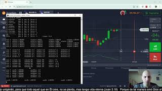 bot de trading nuevo visor de datos [upl. by Solita]