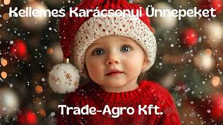 Karácsonyi üdvözlet a TradeAgro Kfttől [upl. by Ellenar749]