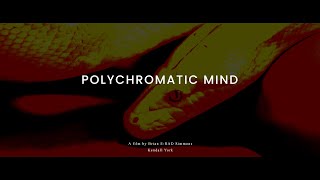 Polychromatic Mind  Colorful Short in the style of Panos Cosmatos 2024 [upl. by Anhej455]