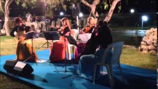 Dammen Quartet  Hava Nagila [upl. by Yknarf]