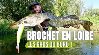 Pêche du brochet dans la Loire  Du bord au Big bait [upl. by Einyaj]