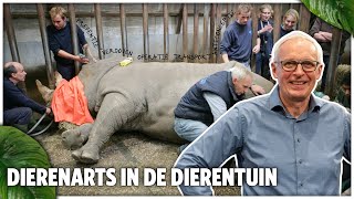 OVER DE WERKZAAMHEDEN VAN DE DIERENARTS  met Henk Luten  Burgers Zoo College [upl. by Hasan748]