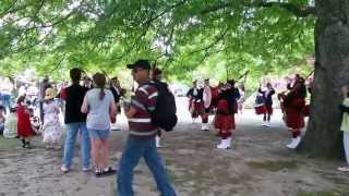 Lithgow Highland Pipe Band  Blackheath Rhododendron Festival 2014 [upl. by Haziza502]