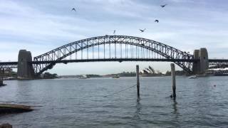 Sydney Harbour 4K UHD Video Screensaver [upl. by Robyn22]