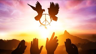 PEACE ACTIVISM [upl. by Jolynn269]