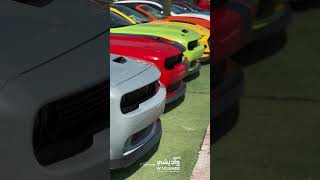 Dodge Challenger in Multiple Colors 😍❤️ trendingshorts dodgecars viralvideo challenger dubai [upl. by Atsed]