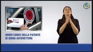 NUOVI CODICI DELLA PATENTE DI GUIDA AUTOVETTURE [upl. by Laughry]