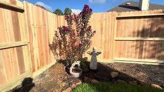 Cedar Wood Privacy Fence with Rot Board 20240919 [upl. by Osanna797]